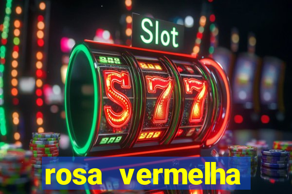 rosa vermelha (letra e cifra)